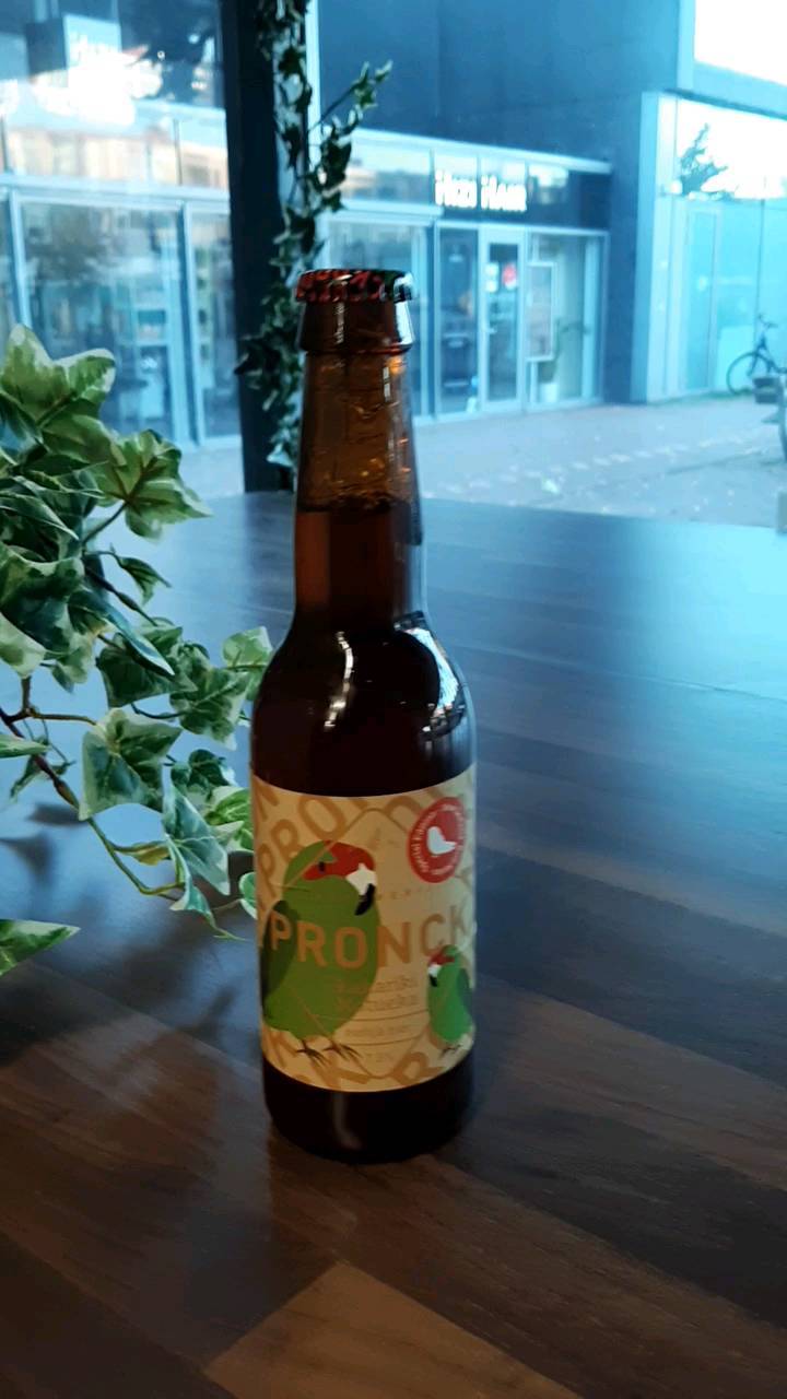 NIEUW! 🦜 De Kea Pacifica maakt plaats voor een nieuw biertje! 

De Kakariki Motueka van @brouwerijpronck is de laatste van de New Zealand Series specials, telkens gebrouwen met een andere Nieuw-Zeelandse hopsoort. 'In deze laatste variant hebben we de Motueka hop gebruikt. Verwacht verse limoen en tropische vruchten'. Klinkt dit niet geweldig?

Vanaf deze week te bestellen via www.vega-express.nl

#brouwerijpronck #pronck #leiden #leidencity #vegaleiden #veganleiden #speciaalbier #nieuw